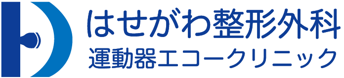 はせがわ整形外科運動器エコークリニックロゴ